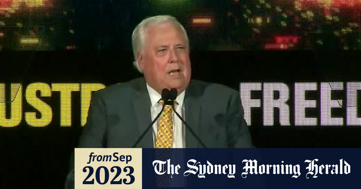 Video Palmer to return to court over Voice to parliament vote